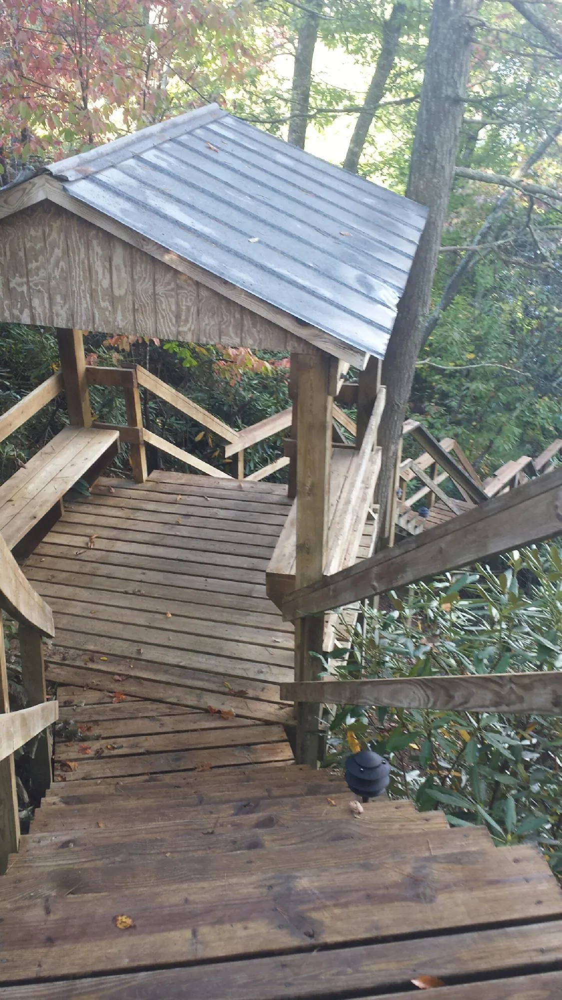 Metal roofed shelter over wooden steps on a wooded walkway in Shelbyville